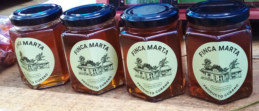 Miel de abejas Miel de abejas