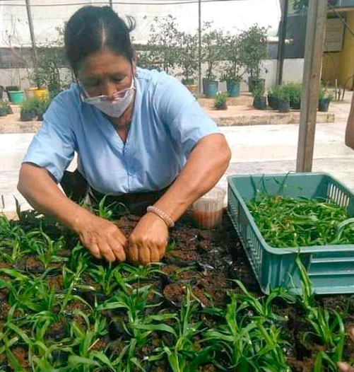 Centro de Bioplantas Centro de Bioplantas