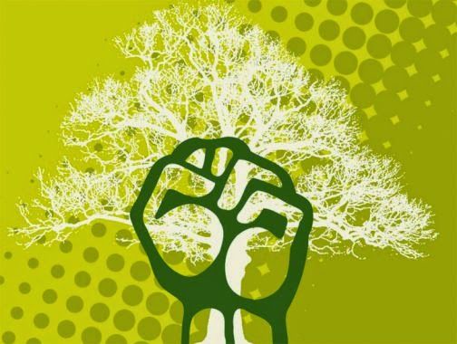 Ecologismo Ecologismo