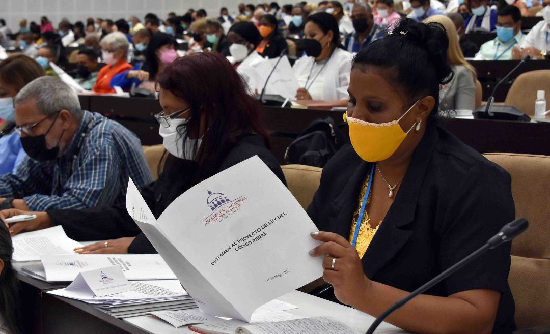 Debate del Proyecto de Ley del Código Penal. Diputada estudia el proyecto