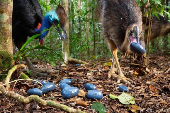 Like This-Dad-Naturaleza Like This-Dad-Naturaleza