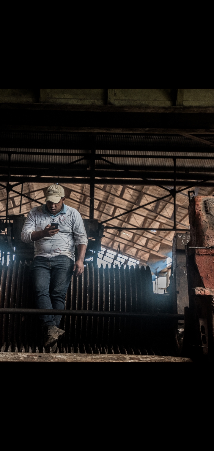 Trabajador azucarero Trabajador azucarero