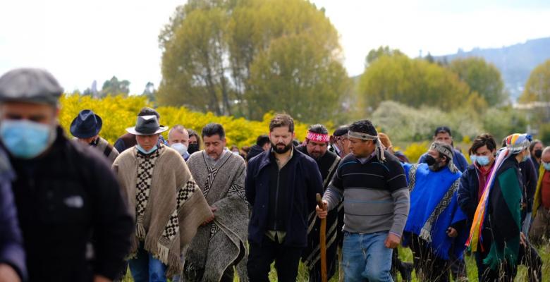 Boric camina en la Araucanía con mapuche Boric camina en la Araucanía con mapuche