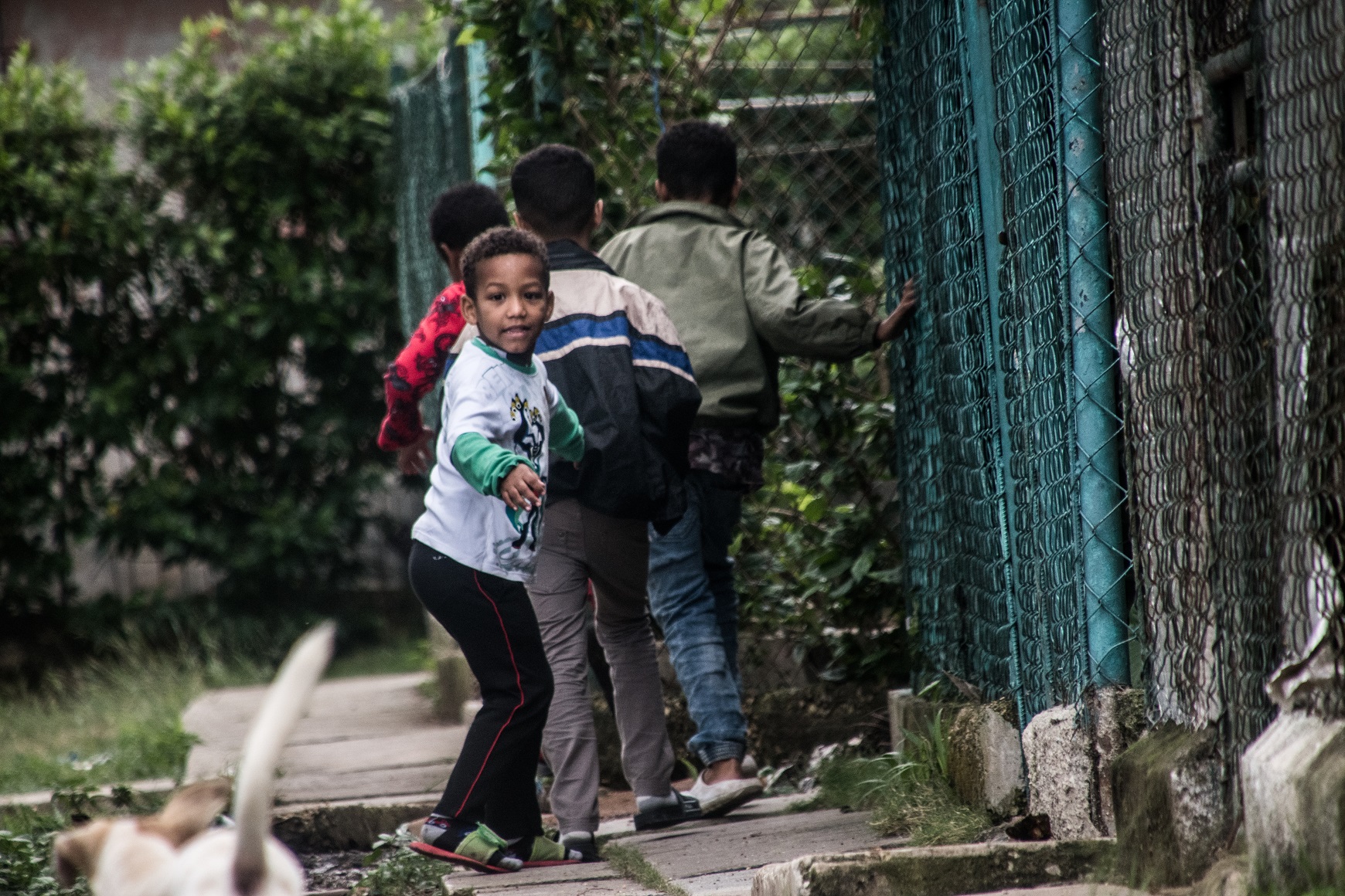 Niños cubanos en invierno