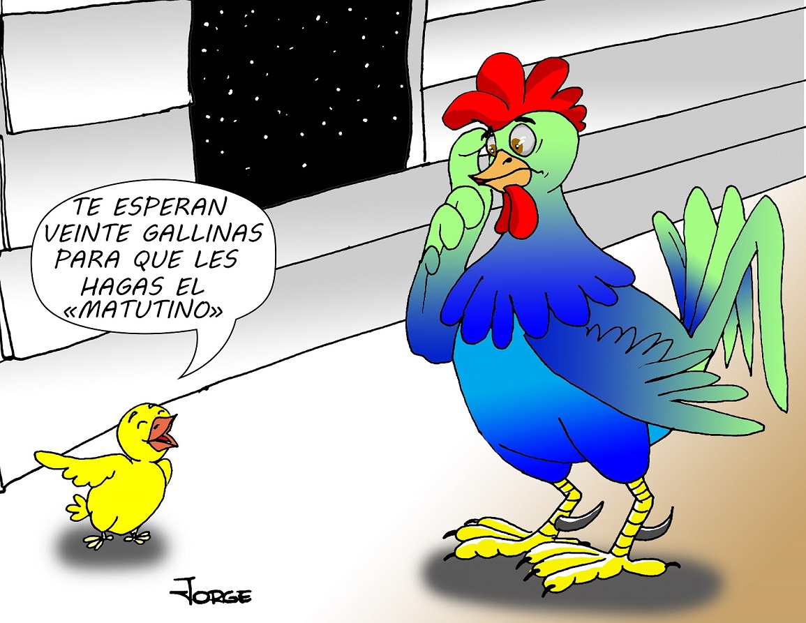 Intimidades 5 de diciembre Intimidades 5 de diciembre