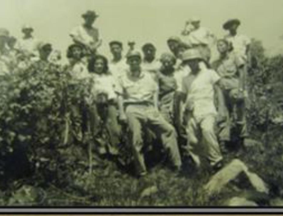 Cruz Roja de Santa Clara Cruz Roja de Santa Clara