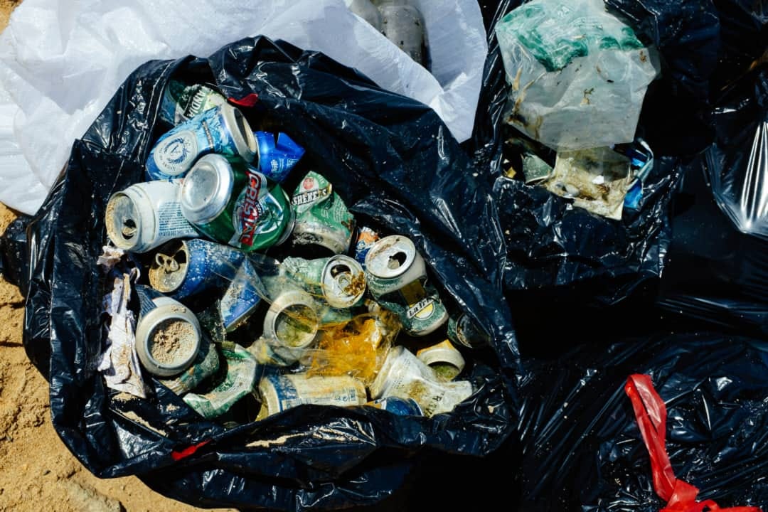 Jornada de limpieza costera (David Estrada Rodríguez/Naturaleza Secreta de Cuba)