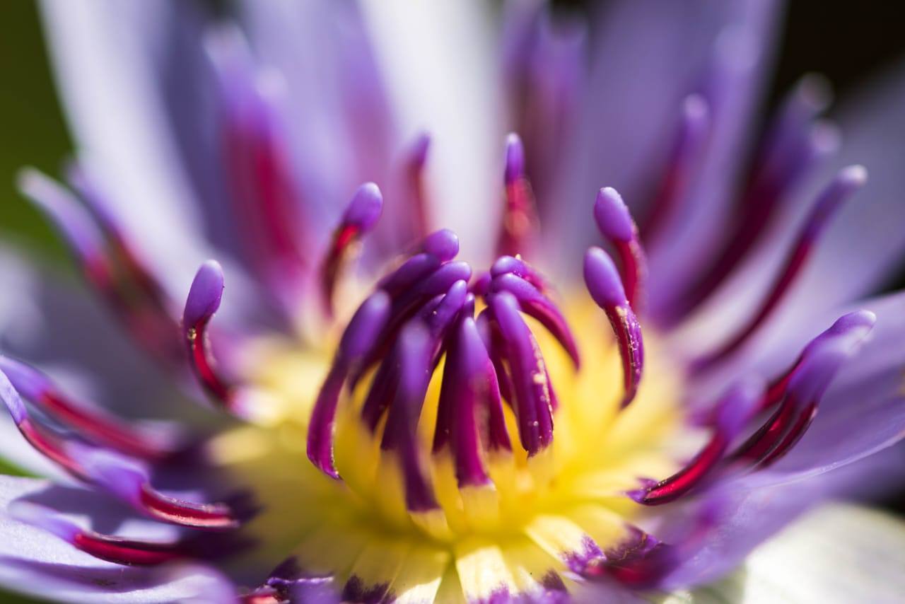 Jardín Botánico Nacional
