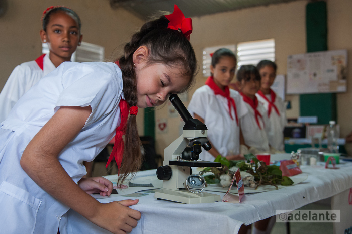Pioneros con palacios 
