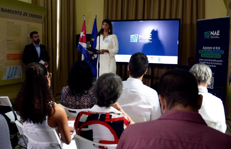 Un proyecto de cooperación internacional para nuevos actores económicos