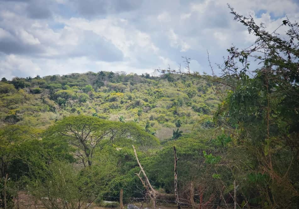 La teoría de la Tierra hueca