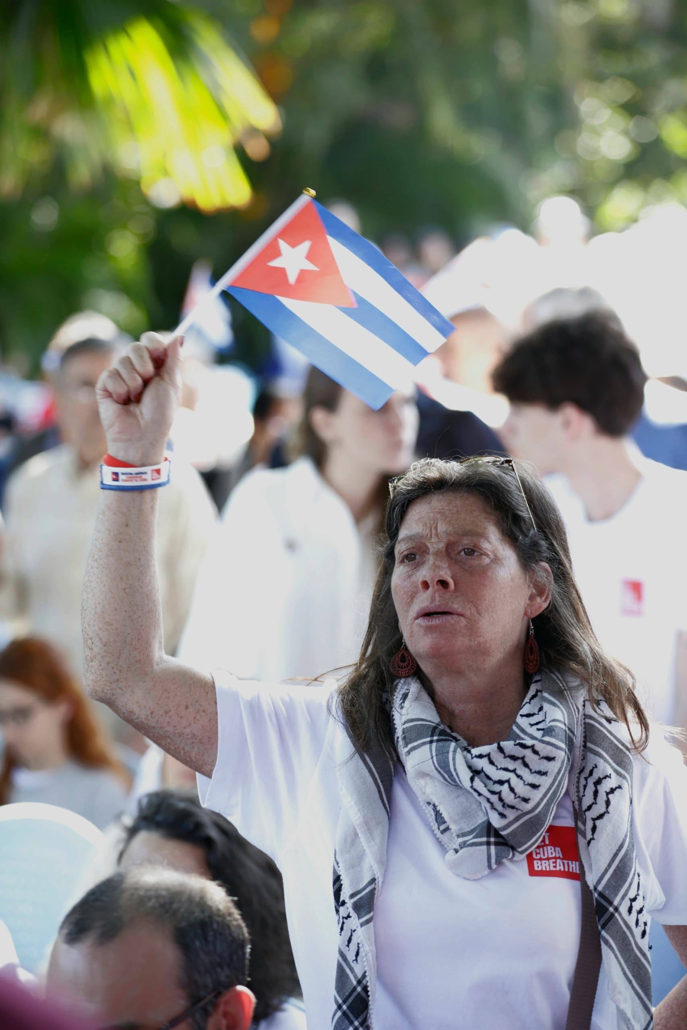 21 de marzo: Día Internacional de la Solidaridad con Cuba. (Fotos: Leonardo Calas Rojas / Naturaleza Secreta)