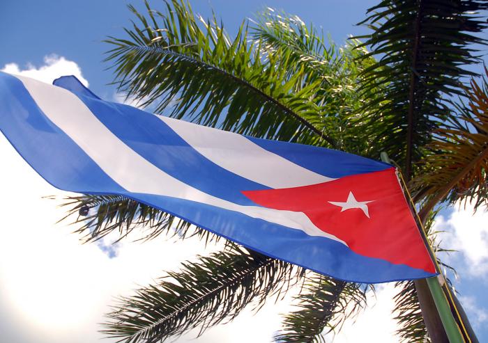 bandera y palma real 
