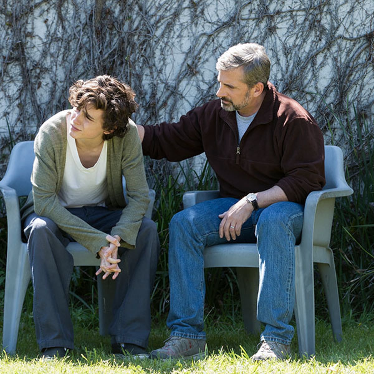Película Beautiful Boy Película Beautiful Boy