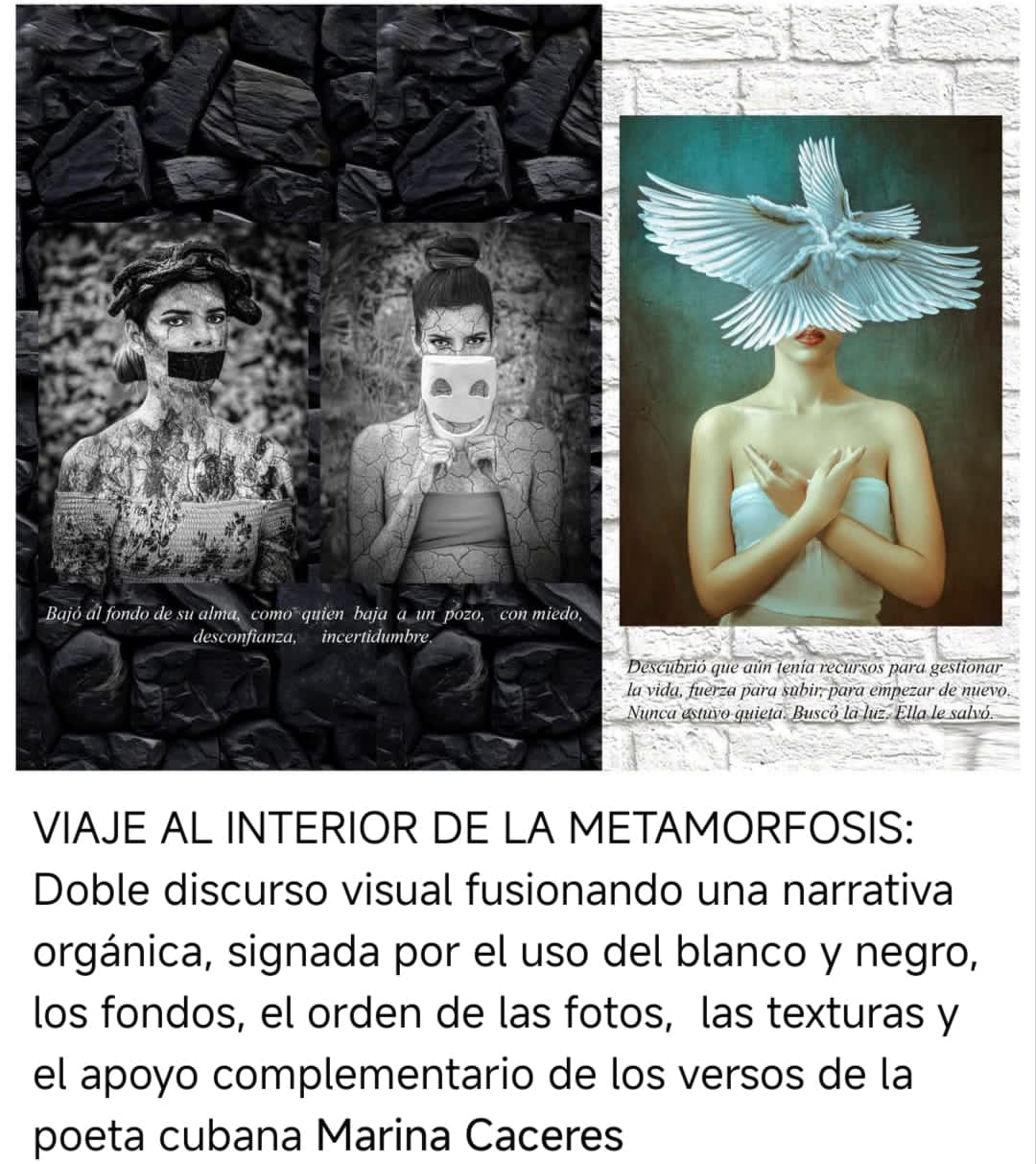 Mujeres a la vista Mujeres a la vista