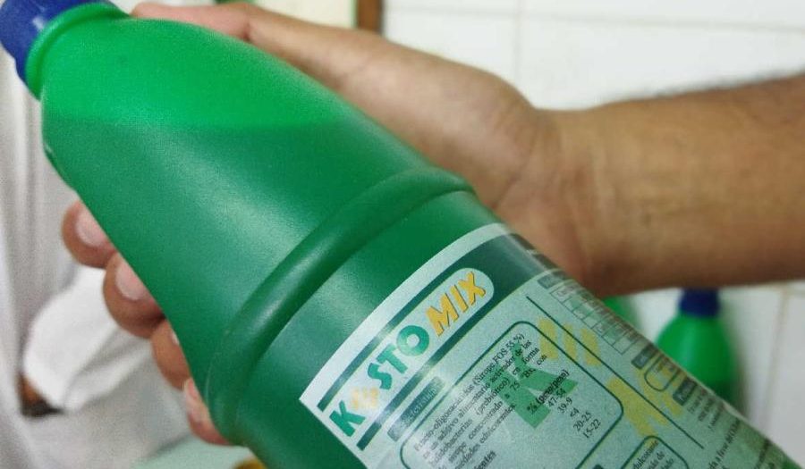 El KestoMix constituye un logro científico del Centro de Ingeniería Genética y Biotecnología de Sancti Spíritus